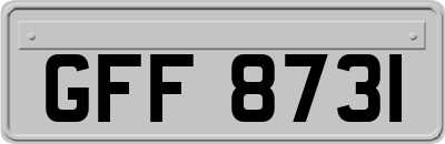 GFF8731