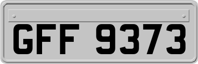 GFF9373