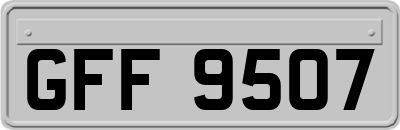 GFF9507