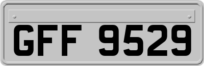 GFF9529