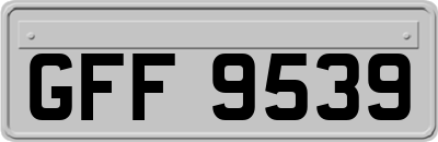 GFF9539