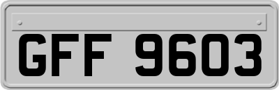 GFF9603