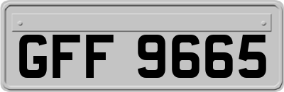 GFF9665