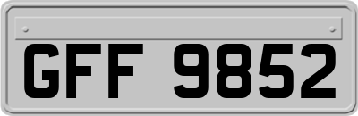 GFF9852