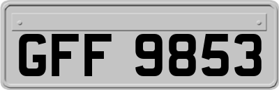 GFF9853