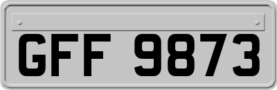 GFF9873
