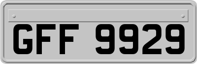 GFF9929