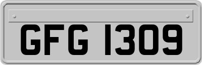 GFG1309