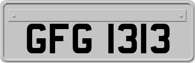 GFG1313