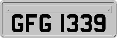 GFG1339