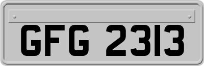 GFG2313