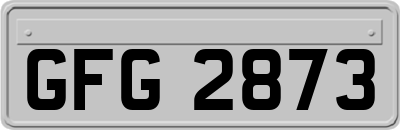 GFG2873