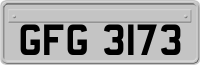 GFG3173