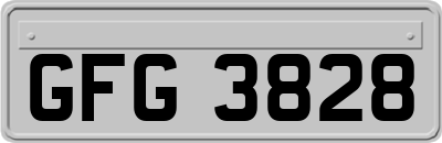 GFG3828