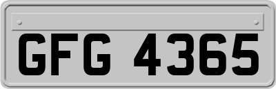 GFG4365