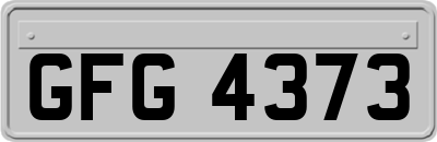 GFG4373