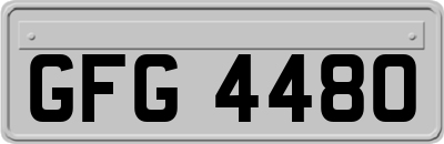 GFG4480