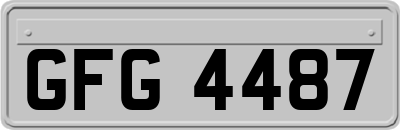 GFG4487