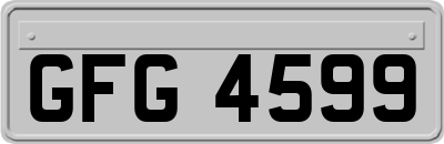 GFG4599