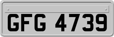 GFG4739