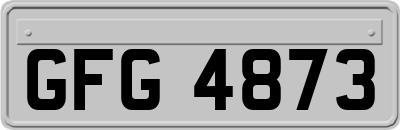 GFG4873
