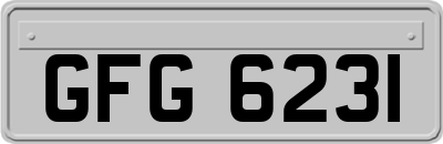 GFG6231