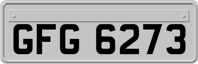 GFG6273