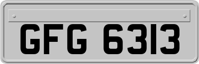 GFG6313