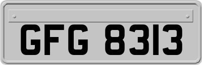 GFG8313
