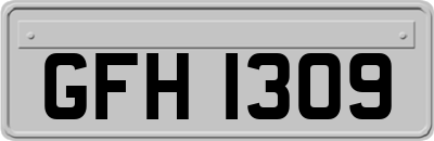 GFH1309