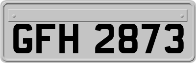 GFH2873