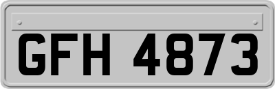 GFH4873