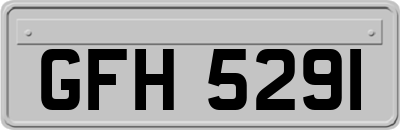 GFH5291