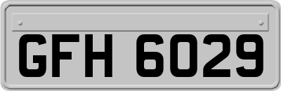 GFH6029