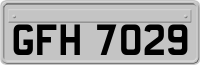 GFH7029