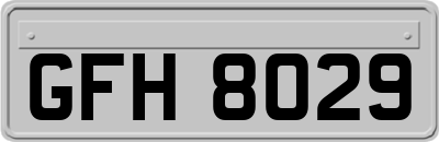 GFH8029