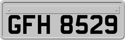 GFH8529