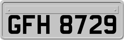 GFH8729