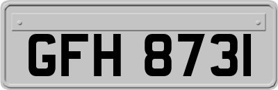 GFH8731