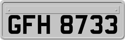 GFH8733