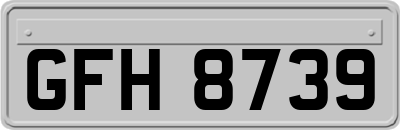 GFH8739
