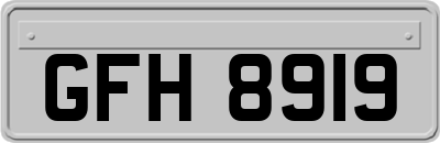 GFH8919