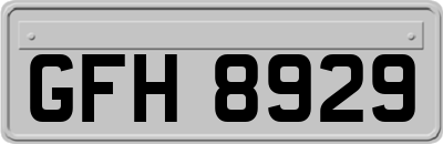 GFH8929
