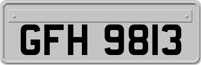 GFH9813