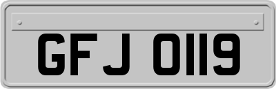 GFJ0119