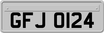 GFJ0124