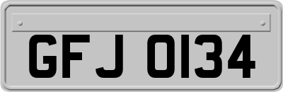 GFJ0134