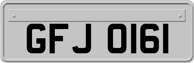 GFJ0161