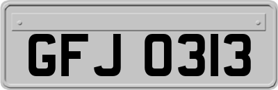 GFJ0313