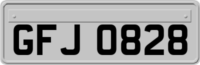 GFJ0828